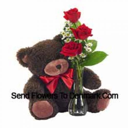 3 Red Roses with Beautiful 14 Inch Teddy