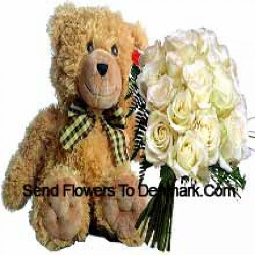 19 White Roses with 14 Inch Teddy