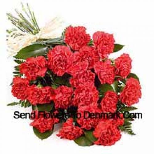 Pretty 25 Red Carnations