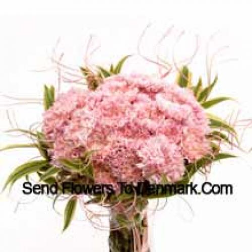 25 Pretty Pink Carnations