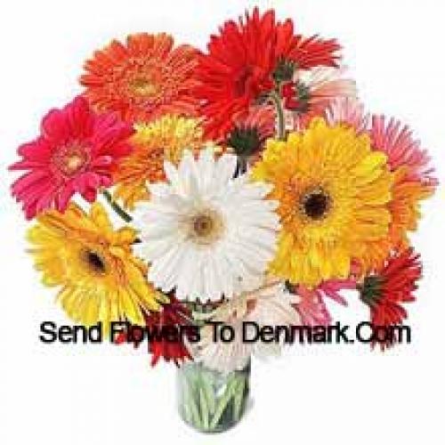 19 Cute Mixed Gerberas