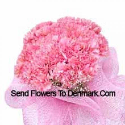 Cute 25 Pink Carnations