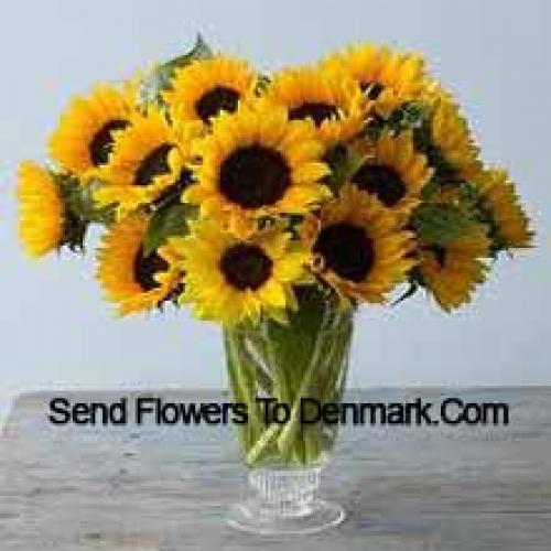 Lovely Sunflowers in Vase