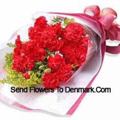 19 Wrapped Carnations