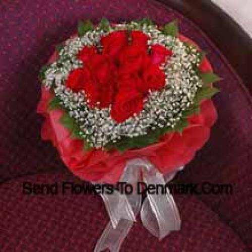 11 Appealing Red Roses