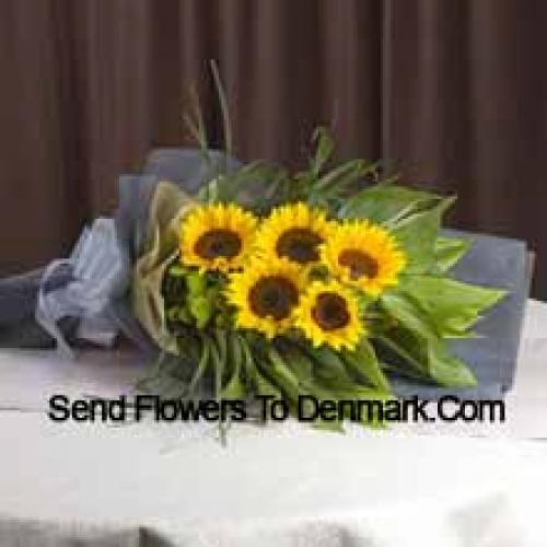 Handpicked Sunflowers Bunch