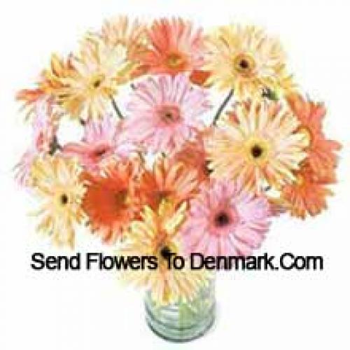 25 Fancy Assorted Gerberas