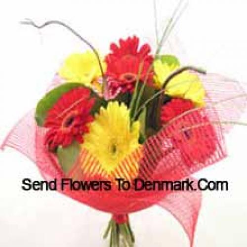 Cute Mixed Gerberas