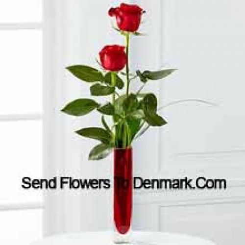 2 Sweet Red Roses in Vase