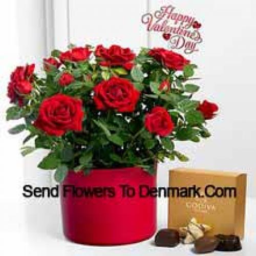 25 Rose Rosse con Deliziosi Cioccolatini Godiva